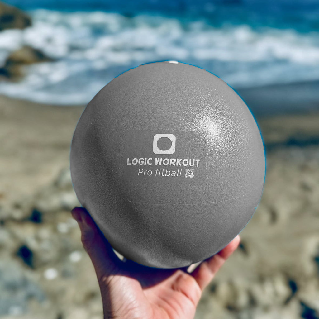 Pack of two Logic Workout fitballs + travel bag